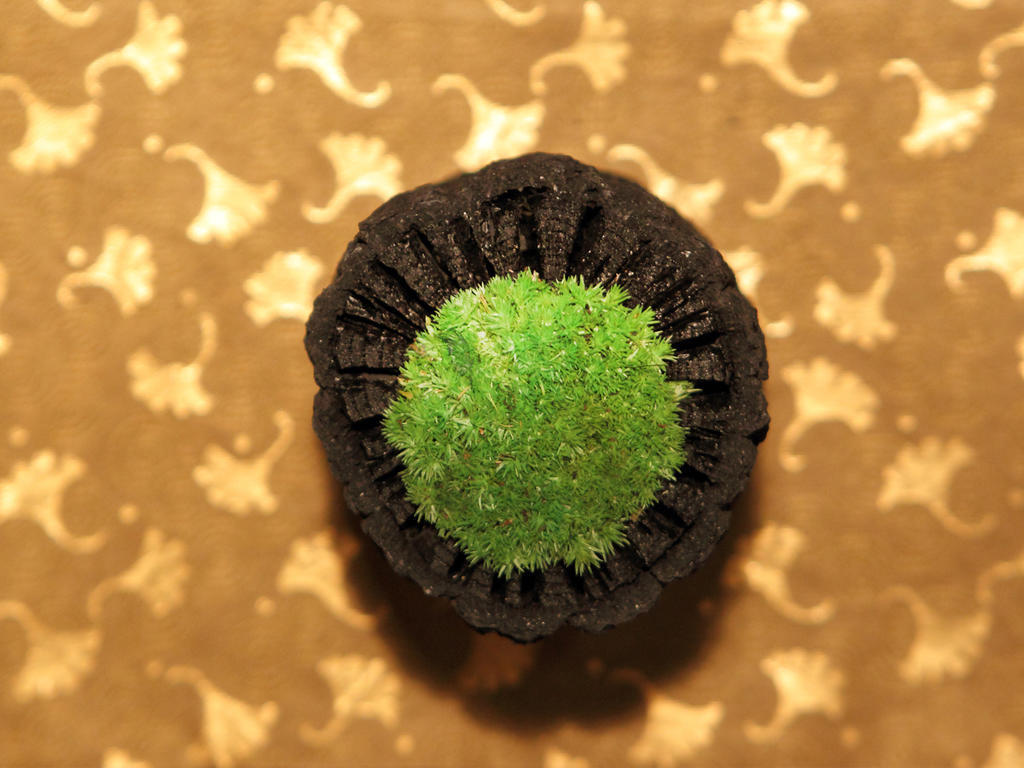 Asaya Hotel Nikko Exterior photo A green Starburst